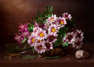  - Alina Lankina