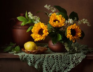  - Alina Lankina