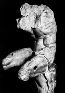 Le Torse du Belvédère par Apollonios de Nestor, vers 1890 (photo n/b) - Fratelli Alinari