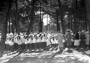Villa Rosa Maltoni Mussolini : étudiantes rassemblées dans la pinède - Fratelli Alinari