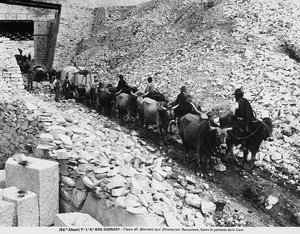 Wagon partant pour les carrières de Ravaccione, près de Carrare - Fratelli Alinari