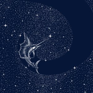 Espadon céleste - Alirıza ÇAKIR