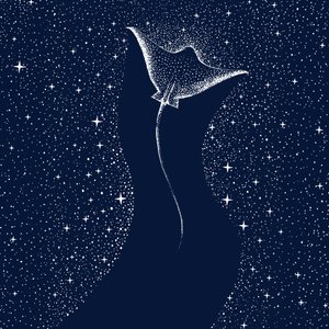 Cosmic Manta Ray - Alirıza ÇAKIR