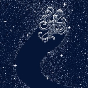 La montée en flèche de Cosmic Octopus - Alirıza ÇAKIR
