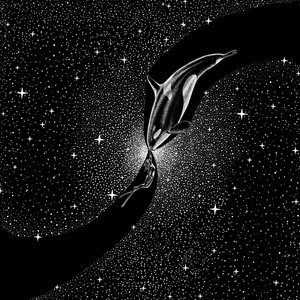 Rencontre cosmique avec une orque - Alirıza ÇAKIR