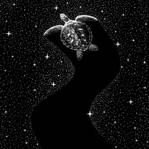 Tortue de mer cosmique - Alirıza ÇAKIR