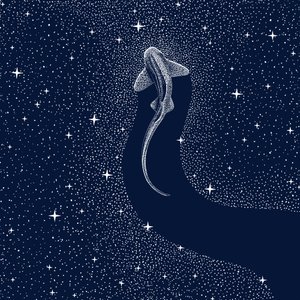 Requin cosmique - Alirıza ÇAKIR