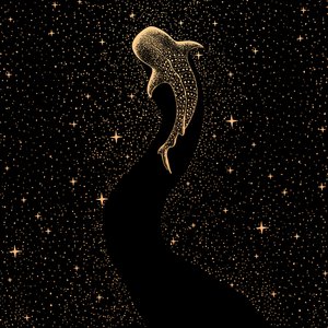 Requin-baleine cosmique - Alirıza ÇAKIR