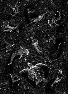 Les animaux marins sous les étoiles - Alirıza ÇAKIR