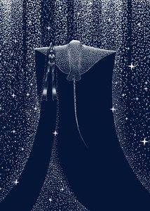 Le compagnon de Starlit Ray - Alirıza ÇAKIR