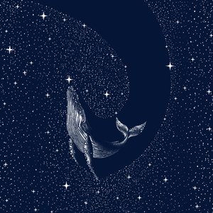 La baleine de la nuit étoilée - Alirıza ÇAKIR