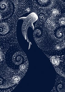 Requin-baleine étoilé - Alirıza ÇAKIR