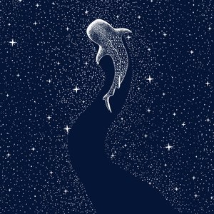 Requin-baleine étoilé - Alirıza ÇAKIR