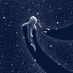 Voyage dans la galaxie des requins-baleines - Alirıza ÇAKIR