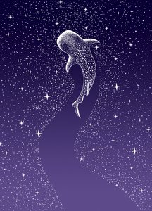 Nage avec les requins-baleines dans la galaxie - Alirıza ÇAKIR