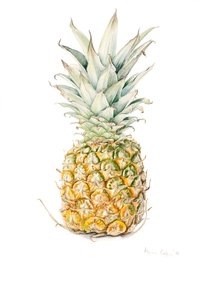 Ananas mûr