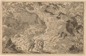 Une forêt dense - Allart van Everdingen