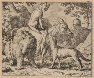 Reynard assis au sommet de l