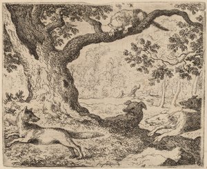 Le père de Reynard et le chat poursuivi par des chiens - Allart van Everdingen