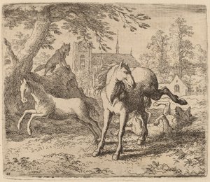 La jument et le loup, probablement vers 1645-1656 - Allart van Everdingen