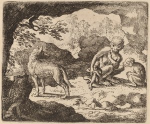 Le Loup et les Singes
