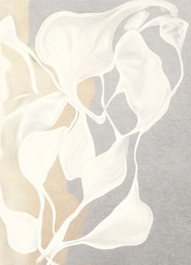 Formes organiques fluides