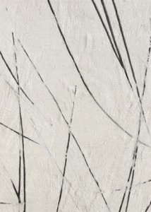 Lignes organiques et textures