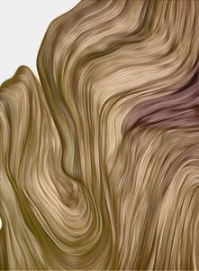 Des courbes fluides et subtiles