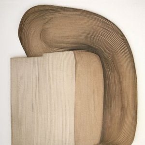 Formes organiques subtiles