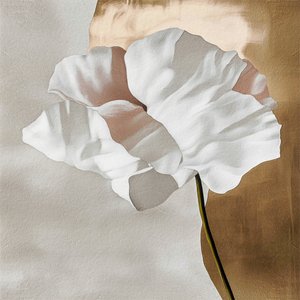 Blanc Fleur d