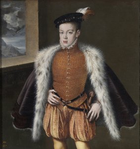 Don Carlos, Prince des Asturies, 1555-1559 - Alonso Sánchez Coello
