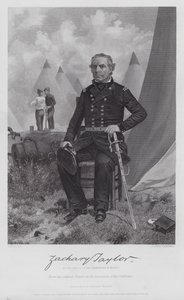 Zachary Taylor (gravure)
