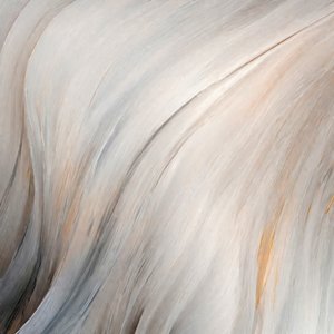 Plumes douces et vaporeuses - Alpenglow Workshop
