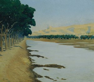 Vue de la citadelle du Caire