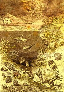 Préhistoire-Fin de la période silurienne: Création naturelle et êtres vivants (J. Rengade) Dessin A. Demarle. 1885 - Alphonse Demarle