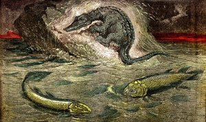 Transition des poissons aux reptiles : Protésaur (en haut) reptile du poisson, période du charbon. Le Holoptychius en bas à gauche, et L