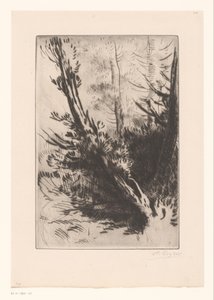 Arbres