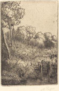 Le long de la Marne