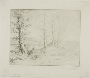 Le long de la rivière