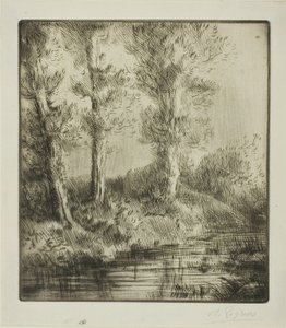 Rives du Saint-Pré