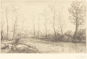 Les Bouleaux: Bord de l