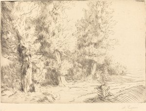 Dans la forêt de Fontainebleau