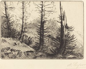Dans les Pyrénées - Alphonse Legros