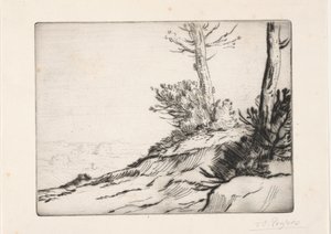 La butte aux broussailles - Alphonse Legros