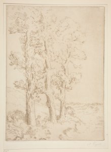 La liseuse : La lecture sous les arbres - Alphonse Legros