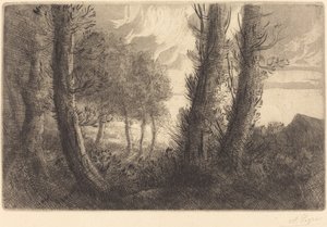 Paysage