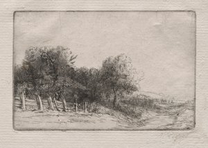 Paysage