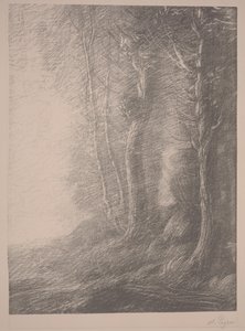 Paysage