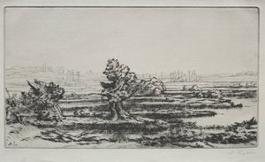 Paysage