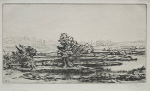 Paysage